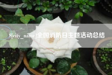 吕梁全国消防日主题活动总结