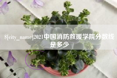 吕梁2021中国消防救援学院分数线是多少