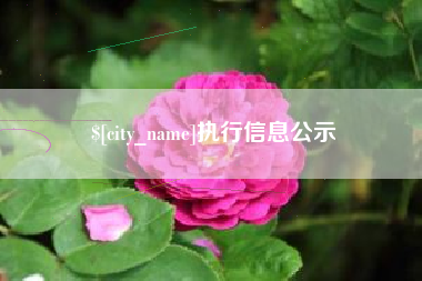 吕梁执行信息公示