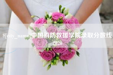 吕梁中国消防救援学院录取分数线2020