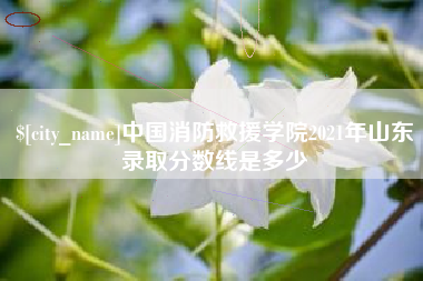 吕梁中国消防救援学院2021年山东录取分数线是多少
