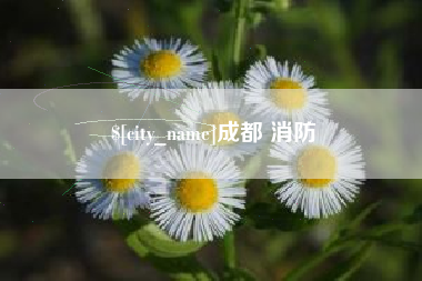 吕梁成都 消防