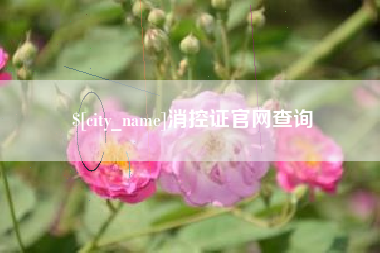吕梁消控证官网查询