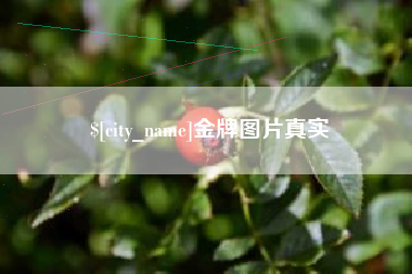 吕梁金牌图片真实