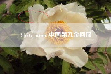 吕梁中国第九金回放