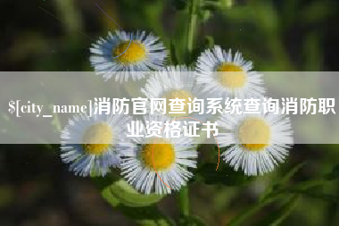 吕梁消防官网查询系统查询消防职业资格证书
