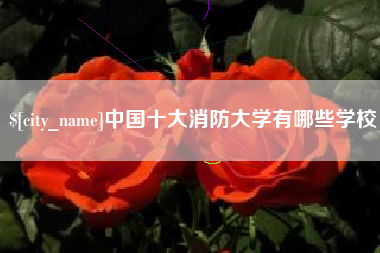 吕梁中国十大消防大学有哪些学校