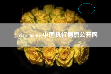 吕梁中国执行信息公开网