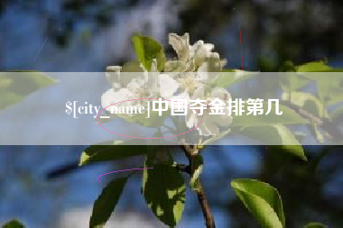 吕梁中国夺金排第几