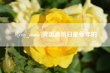 吕梁我国消防日是每年的