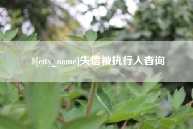 吕梁失信被执行人杳询