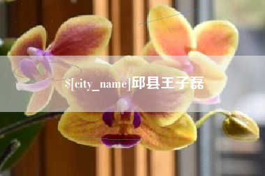 吕梁邱县王子磊