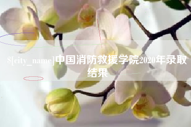 吕梁中国消防救援学院2020年录取结果