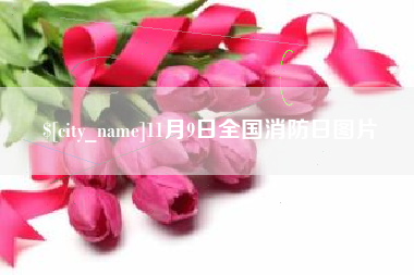 吕梁11月9日全国消防日图片