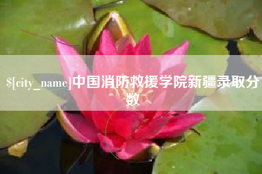 吕梁中国消防救援学院新疆录取分数
