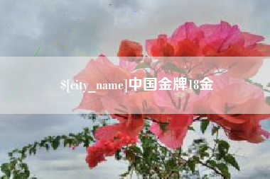 吕梁中国金牌18金