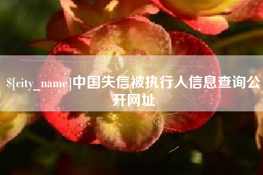 吕梁中国失信被执行人信息查询公开网址