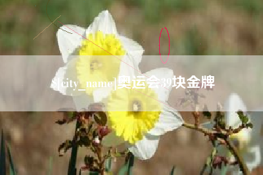 吕梁奥运会39块金牌