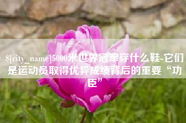 吕梁5000米世界冠军穿什么鞋-它们是运动员取得优异成绩背后的重要“功臣”
