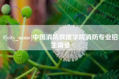 吕梁中国消防救援学院消防专业招生简章