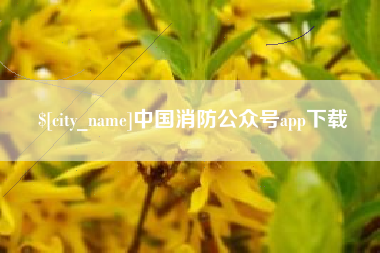 吕梁中国消防公众号app下载