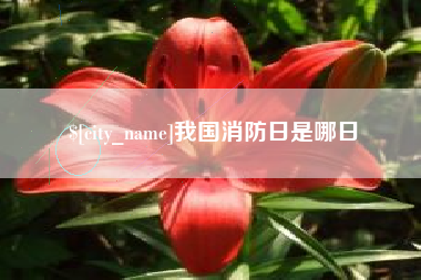 吕梁我国消防日是哪日