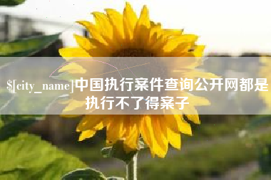 吕梁中国执行案件查询公开网都是执行不了得案子