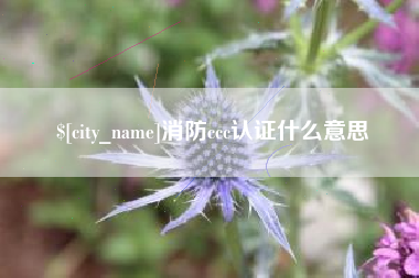 吕梁消防ccc认证什么意思