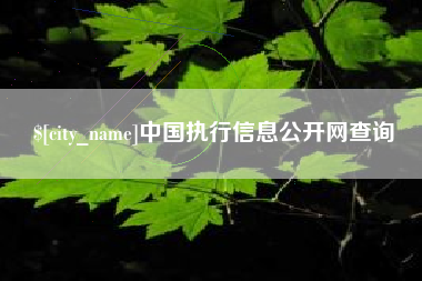 吕梁中国执行信息公开网查询