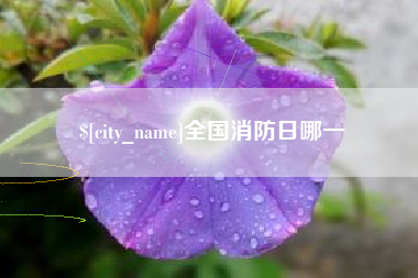 吕梁全国消防日哪一