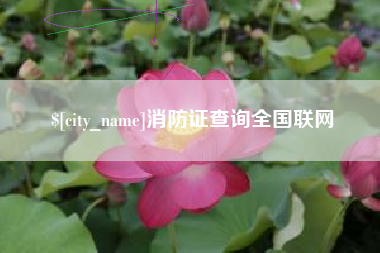 吕梁消防证查询全国联网