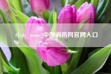吕梁中国消防网官网入口