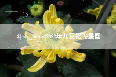 吕梁2022年九宫格飞星图