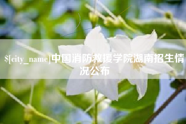 吕梁中国消防救援学院湖南招生情况公布