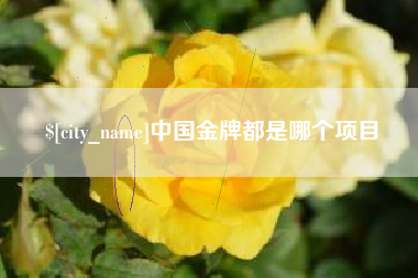 吕梁中国金牌都是哪个项目