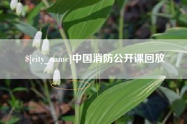 吕梁中国消防公开课回放