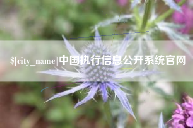 吕梁中国执行信息公开系统官网