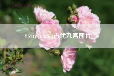 吕梁古代九宫图片