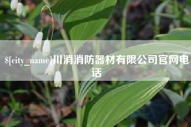 吕梁川消消防器材有限公司官网电话