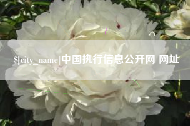 吕梁中国执行信息公开网 网址