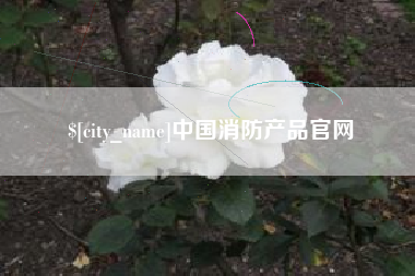 吕梁中国消防产品官网