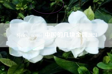 吕梁中国的几块金牌2021