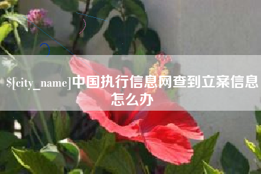 吕梁中国执行信息网查到立案信息怎么办