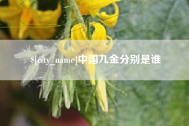 吕梁中国九金分别是谁