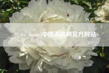 吕梁中国消防网官方网站