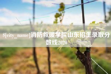 吕梁消防救援学院山东招生录取分数线2020