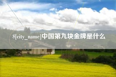 吕梁中国第九块金牌是什么