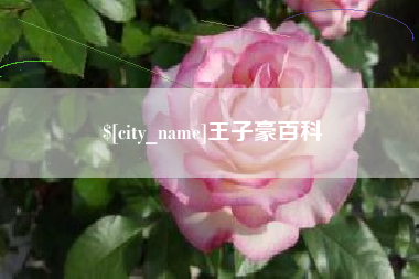 吕梁王子豪百科