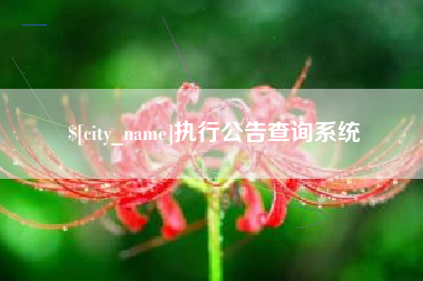 吕梁执行公告查询系统