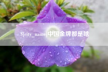 吕梁中国金牌都是啥